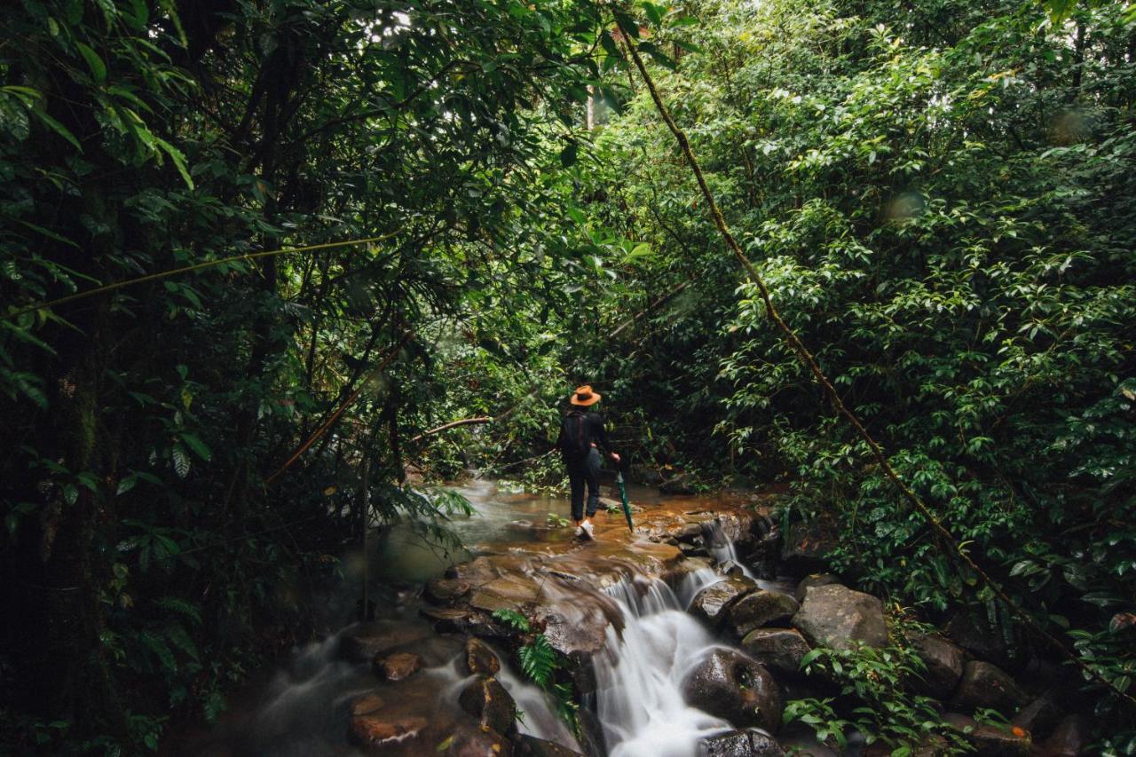 La Tigra Rainforest Lodge La Fortuna Екстериор снимка