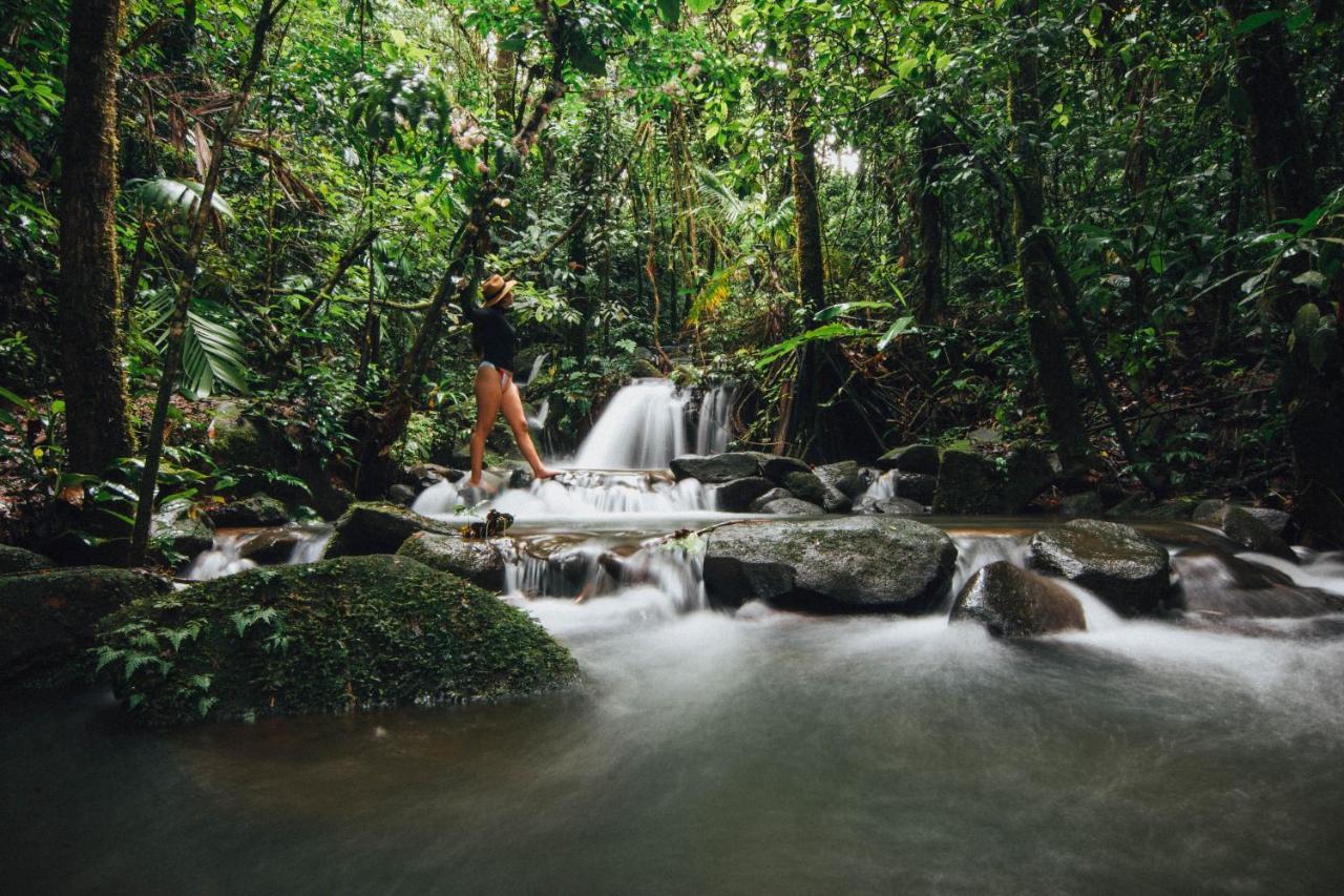 La Tigra Rainforest Lodge La Fortuna Екстериор снимка