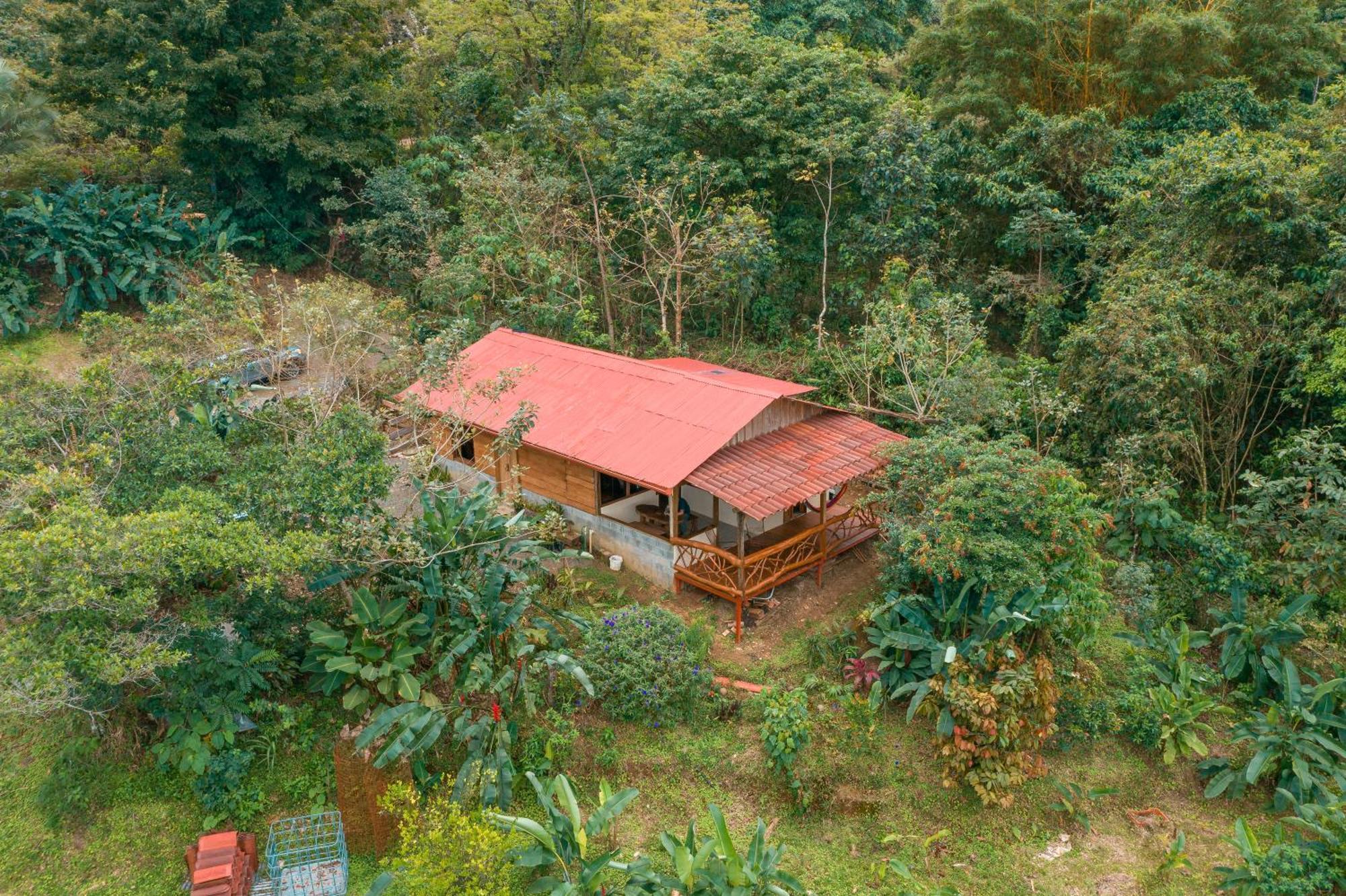 La Tigra Rainforest Lodge La Fortuna Екстериор снимка