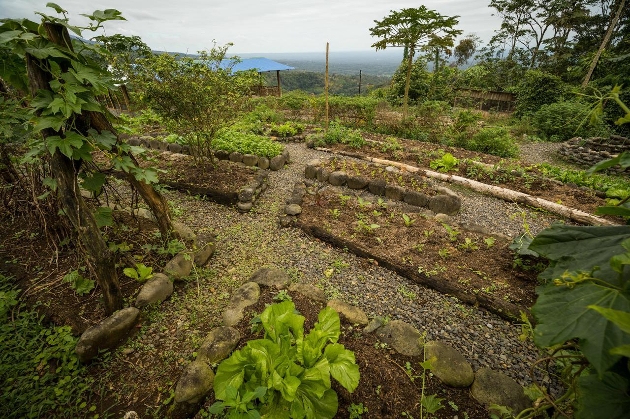 La Tigra Rainforest Lodge La Fortuna Екстериор снимка
