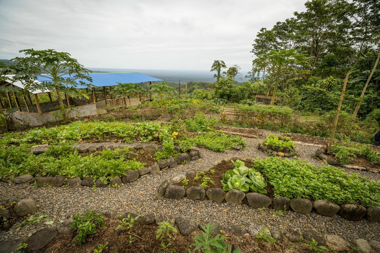 La Tigra Rainforest Lodge La Fortuna Екстериор снимка