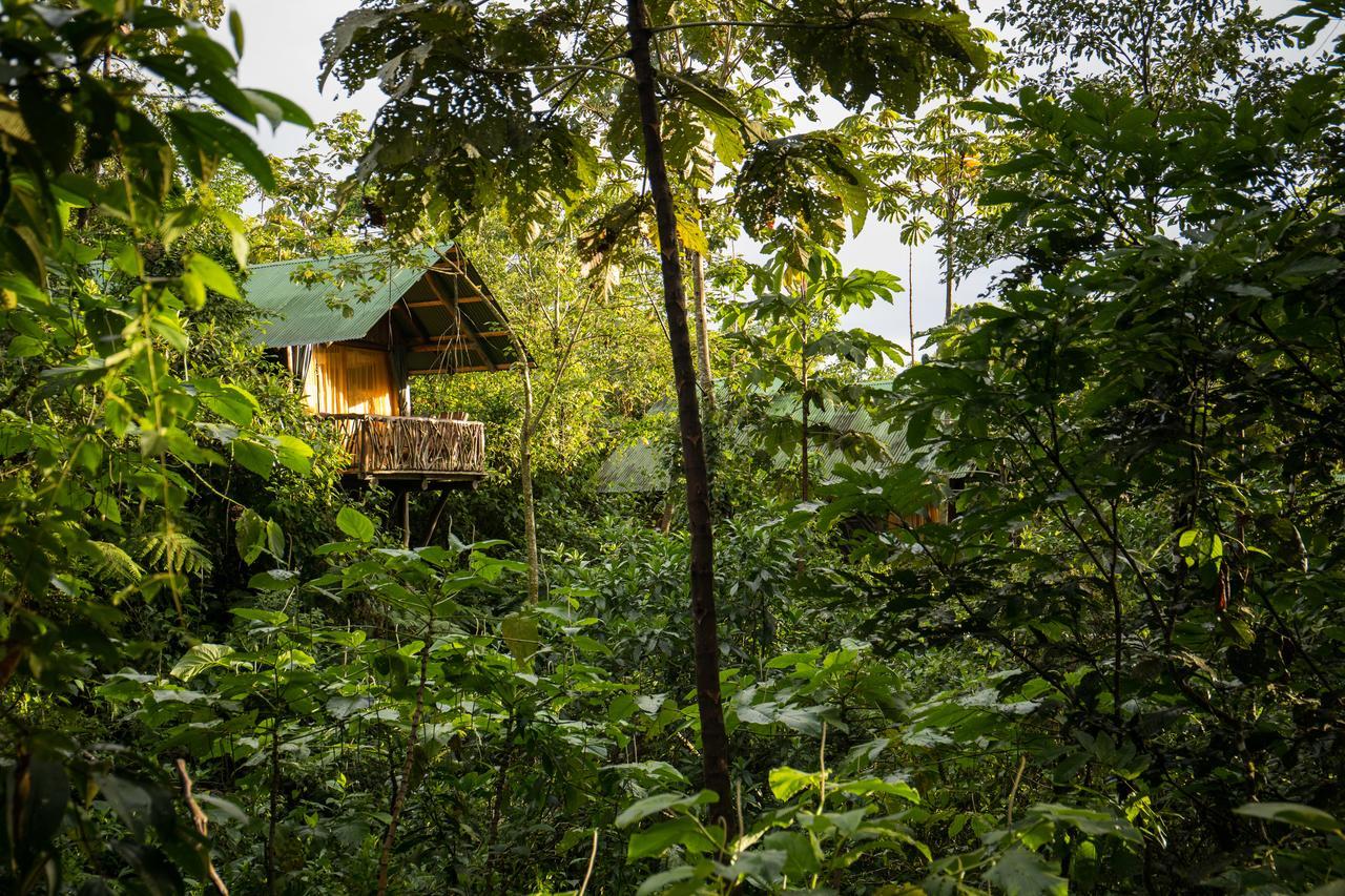 La Tigra Rainforest Lodge La Fortuna Екстериор снимка